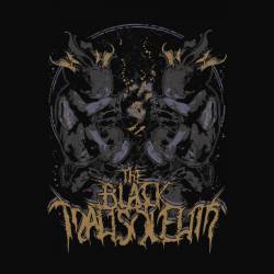 A Night in Necropolis